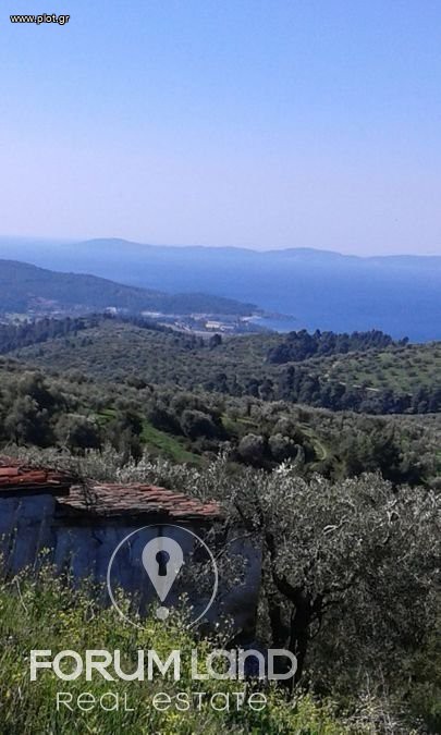 Οικόπεδο 780 τ.μ. προς πώληση, Μαρλιά