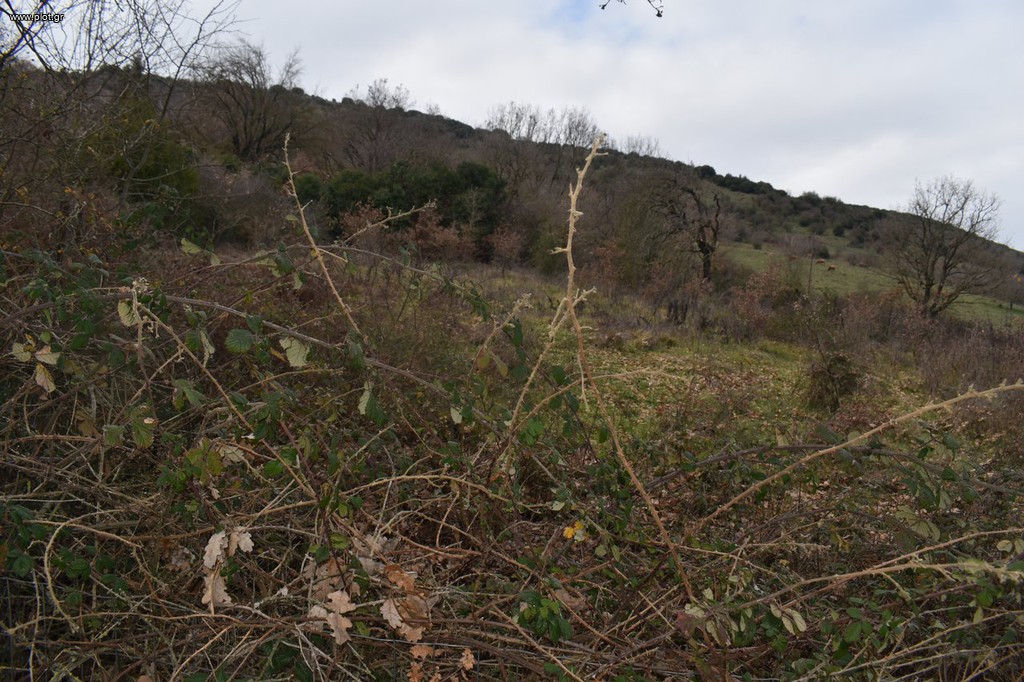 Οικόπεδο 1.027 τ.μ. προς πώληση, Αμπελιά Εγνατίας
