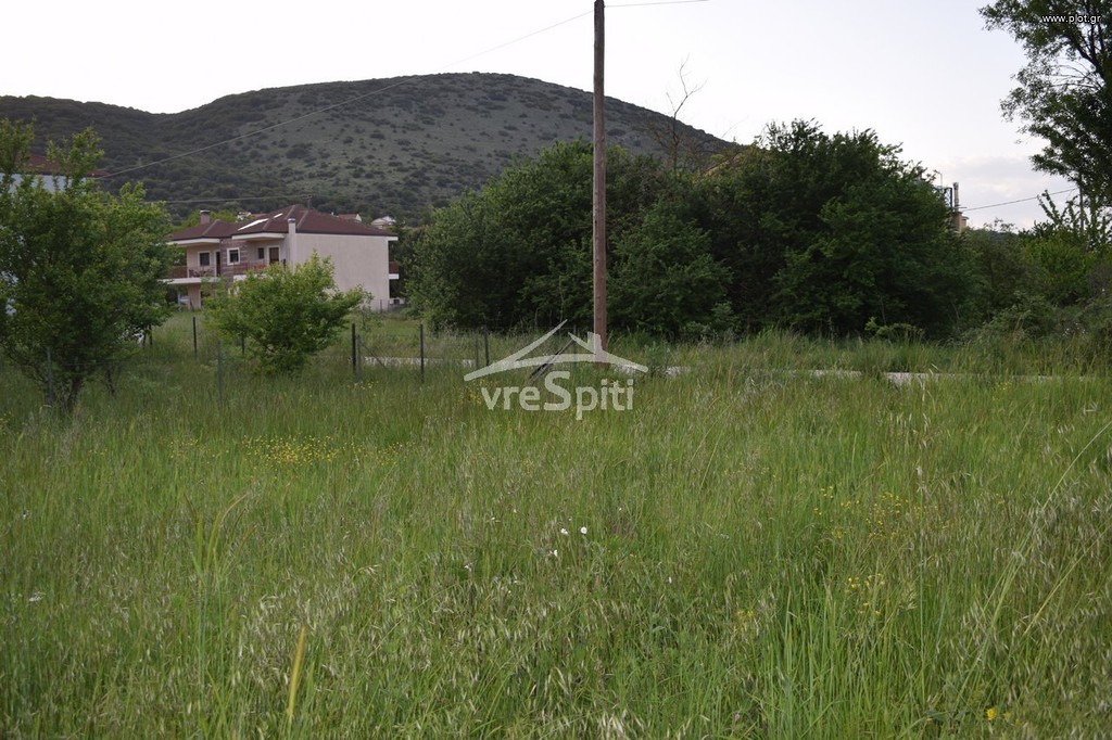 Οικόπεδο 600 τ.μ. προς πώληση, Πεδινή
