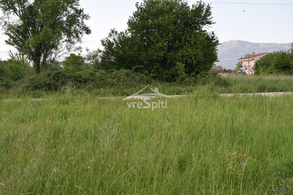 Οικόπεδο 600 τ.μ. προς πώληση, Πεδινή