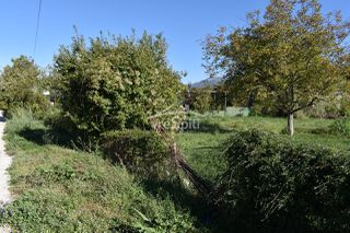 Αγροτεμάχια 4.500 τ.μ. για ενοικίαση, Ν. Ιωαννίνων, Ιωάννινα-thumb-19