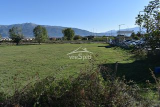 Αγροτεμάχια 4.500 τ.μ. για ενοικίαση