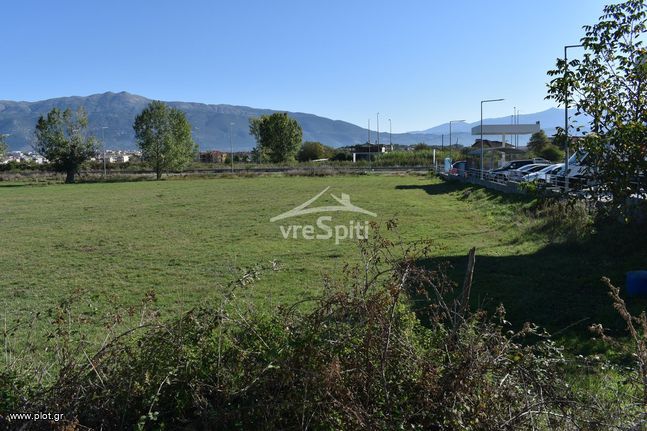 Αγροτεμάχια 4.500 τ.μ. για ενοικίαση, Ν. Ιωαννίνων, Ιωάννινα