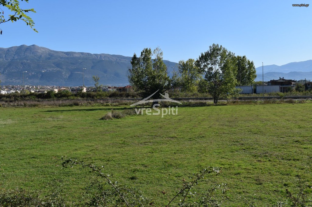 Αγροτεμάχια 4.500 τ.μ. προς ενοικίαση, Ν. Ιωαννίνων, Ιωάννινα