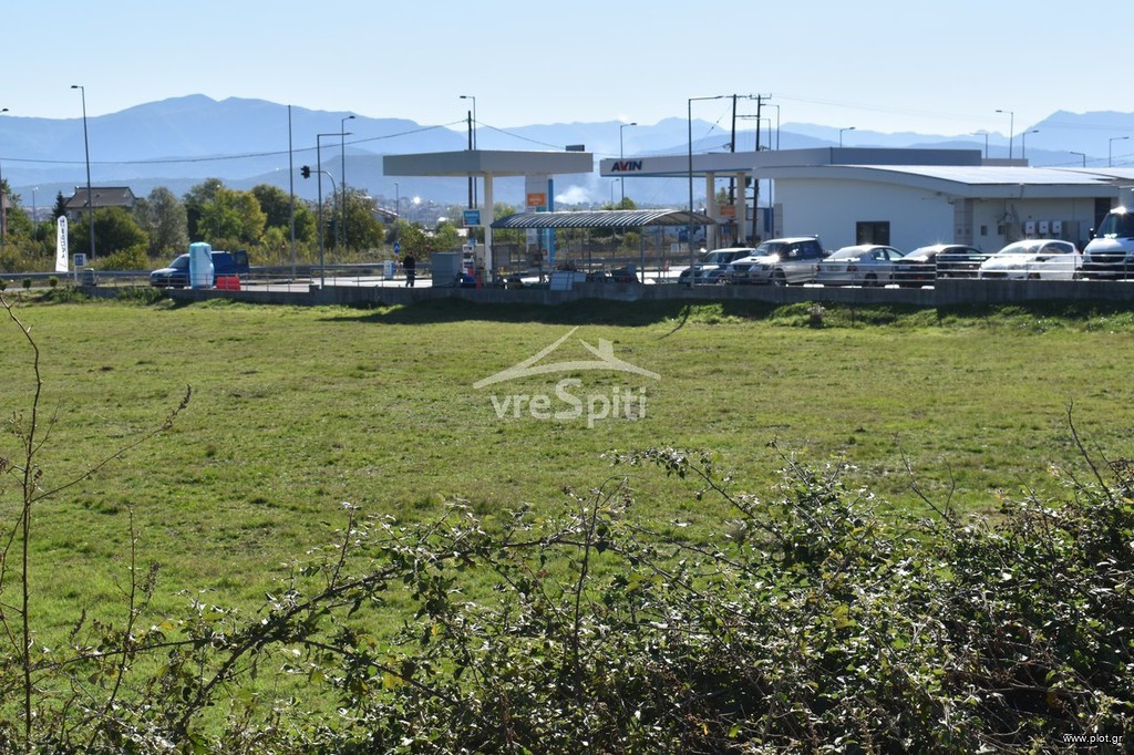 Αγροτεμάχια 4.500 τ.μ. προς ενοικίαση, Ν. Ιωαννίνων, Ιωάννινα