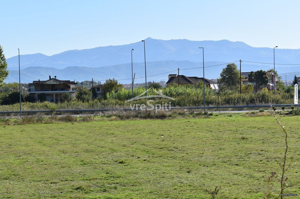 Αγροτεμάχια 4.500 τ.μ. προς ενοικίαση, Ν. Ιωαννίνων, Ιωάννινα