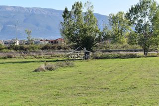 Αγροτεμάχια 4.500 τ.μ. για ενοικίαση, Ν. Ιωαννίνων, Ιωάννινα-thumb-6