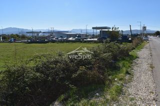 Αγροτεμάχια 4.500 τ.μ. για ενοικίαση, Ν. Ιωαννίνων, Ιωάννινα-thumb-8