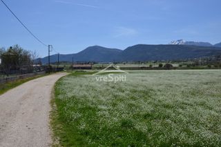 Αγροτεμάχια 6.200 τ.μ. για πώληση