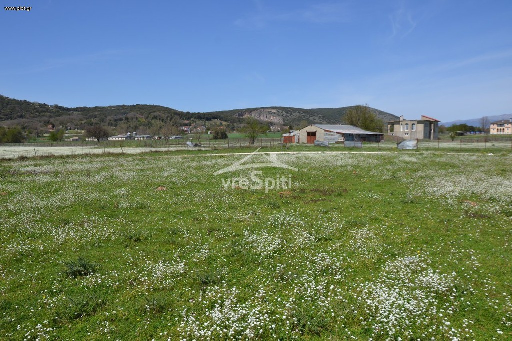 Αγροτεμάχια 6.200 τ.μ. προς πώληση, Πεδινή