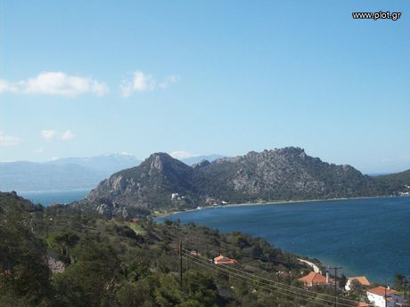 Parcel 8.000sqm for sale-Loutraki-Perachora