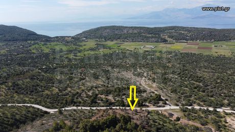 Αγροτεμάχια 5.200τ.μ. για πώληση-Λουτράκι-περαχώρα