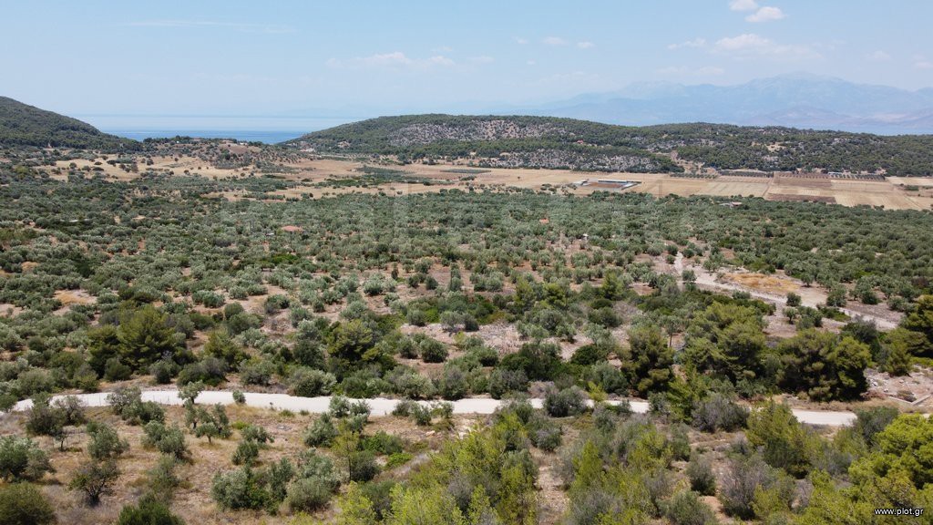 Αγροτεμάχια 5.200 τ.μ. προς πώληση, Λουτράκι-Περαχώρα