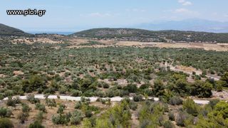 Αγροτεμάχια 5.200 τ.μ. για πώληση, Κορινθία, Λουτράκι-Περαχώρα-thumb-2