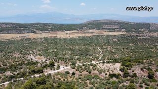 Αγροτεμάχια 5.200 τ.μ. για πώληση, Κορινθία, Λουτράκι-Περαχώρα-thumb-3