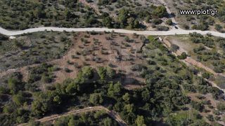 Αγροτεμάχια 5.200 τ.μ. για πώληση, Κορινθία, Λουτράκι-Περαχώρα-thumb-4