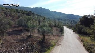 Αγροτεμάχια 5.200 τ.μ. για πώληση, Κορινθία, Λουτράκι-Περαχώρα-thumb-8