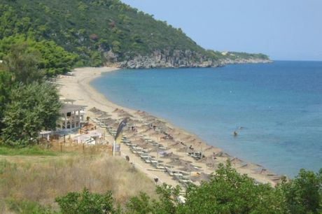 Αγροτεμάχια 16.000τ.μ. για πώληση-Παλλήνη » Παλιούρι