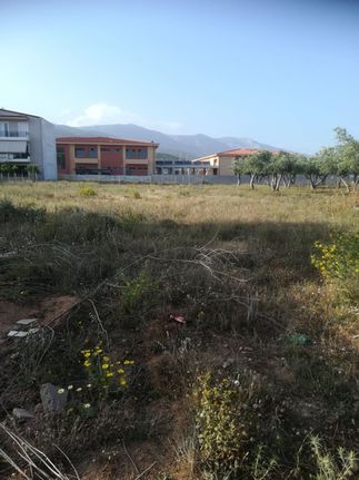 Οικόπεδο 451 τ.μ. για πώληση, Αττική - Υπόλοιπο, Άνω Λιόσια