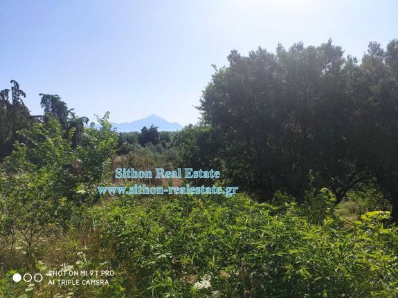 Parcel 2.461 sqm for sale, Chalkidiki, Toroni