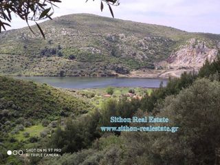 Αγροτεμάχια 7.763 τ.μ. για πώληση