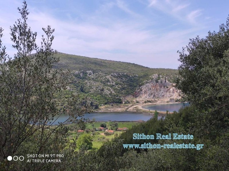 Αγροτεμάχια 7.763 τ.μ. προς πώληση, Κουφός Τορώνης