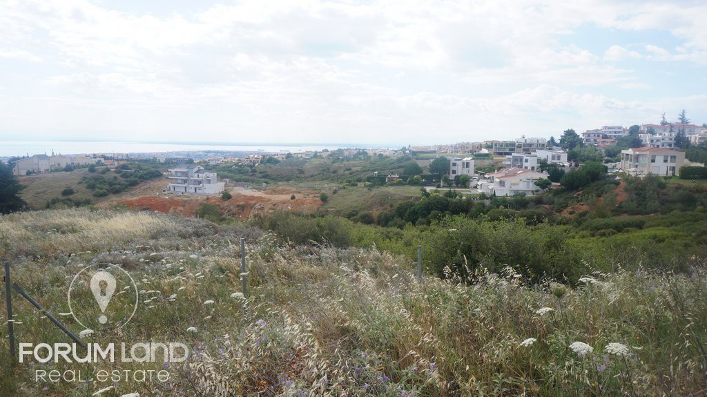 Αγροτεμάχια 6.000 τ.μ. προς πώληση, Κέντρο Πανοράματος