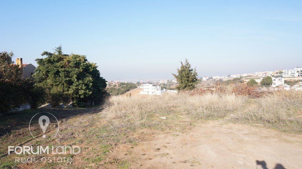 Αγροτεμάχια 6.000 τ.μ. προς πώληση, Κέντρο Πανοράματος