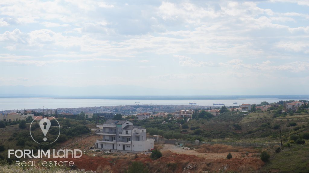Αγροτεμάχια 6.000 τ.μ. προς πώληση, Κέντρο Πανοράματος