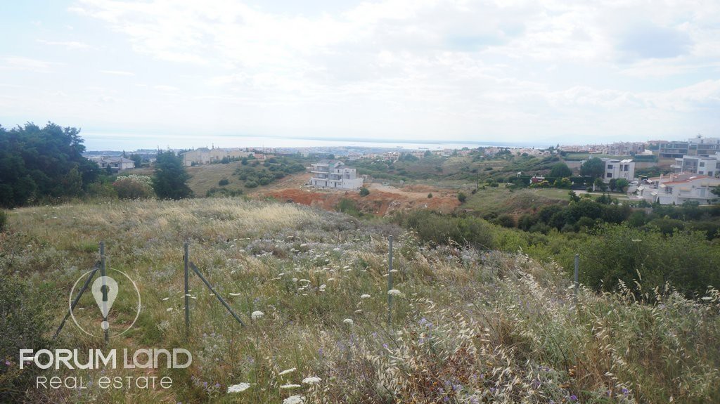 Αγροτεμάχια 6.000 τ.μ. προς πώληση, Κέντρο Πανοράματος