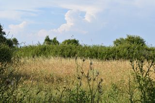 Αγροτεμάχια 375 τ.μ. για πώληση, Ν. Καβάλας, Θάσος-thumb-1