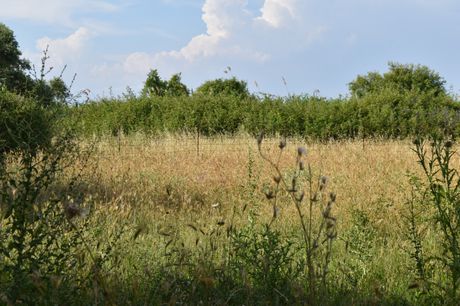 Αγροτεμάχια 375τ.μ. για πώληση-Θάσος » Όρμος πρίνου