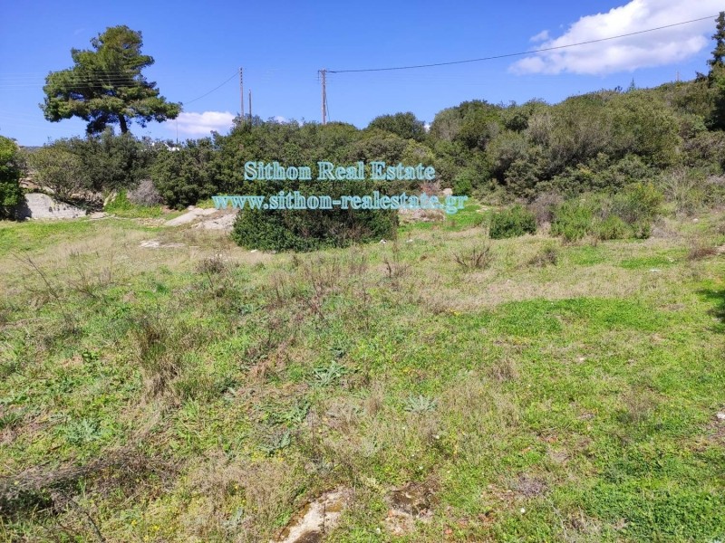 Οικόπεδο 870 τ.μ. προς πώληση, Καλαμίτσι Τορώνης