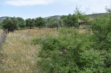 Οικόπεδο 420τ.μ. για πώληση-Θάσος » Ποτός