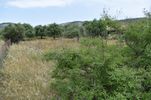 Land plot 420sqm for sale-Thasos » Potos