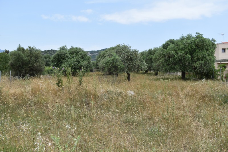 Οικόπεδο 420 τ.μ. πρός πώληση, Ν. Καβάλας, Θάσος