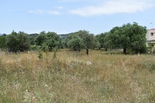 Οικόπεδο 420 τ.μ. για πώληση, Ν. Καβάλας, Θάσος-thumb-3