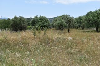 Οικόπεδο 420 τ.μ. για πώληση, Ν. Καβάλας, Θάσος-thumb-4