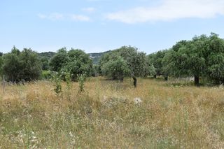 Οικόπεδο 420 τ.μ. για πώληση, Ν. Καβάλας, Θάσος-thumb-5