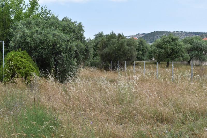 Οικόπεδο 420 τ.μ. πρός πώληση, Ν. Καβάλας, Θάσος