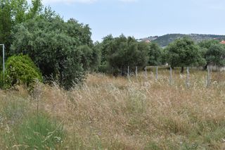 Οικόπεδο 420 τ.μ. για πώληση, Ν. Καβάλας, Θάσος-thumb-2