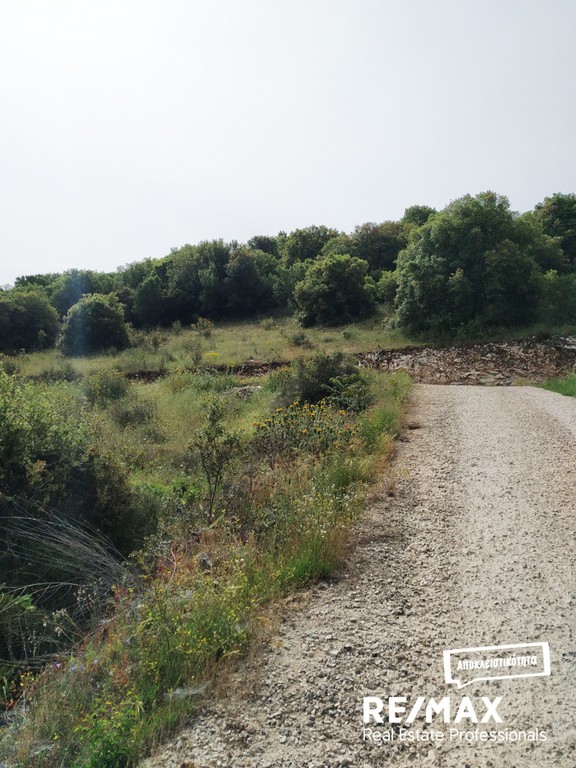 Οικόπεδο 1.014 τ.μ. πρός πώληση, Ν. Ιωαννίνων, Ιωάννινα