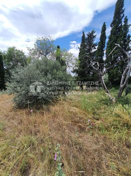 Parcel 300sqm for sale-Nea Ionia Volou » Melissatika