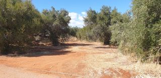 Οικόπεδο 1.414 τ.μ. για πώληση