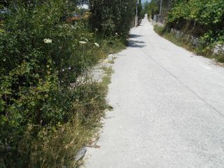 Αγροτεμάχια 650 τ.μ. για πώληση, Ν. Καβάλας, Θάσος-thumb-4