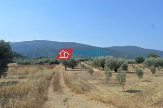 Μονοκατοικία 85 τ.μ. για πώληση, Αργολίδα, Ασίνη-thumb-10