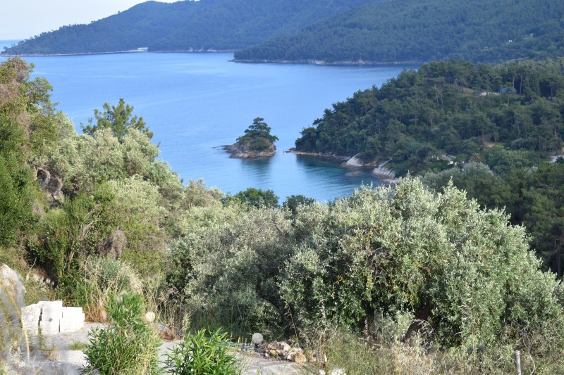 Αγροτεμάχια 2.000 τ.μ. προς πώληση, Μακρυάμμος