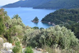 Αγροτεμάχια 2.000 τ.μ. για πώληση, Ν. Καβάλας, Θάσος-thumb-1