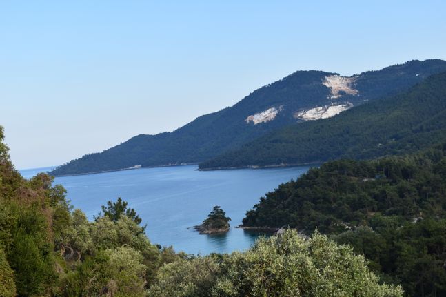 Αγροτεμάχια 2.000 τ.μ. για πώληση, Ν. Καβάλας, Θάσος