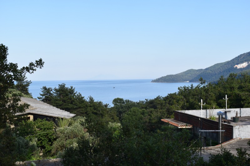 Αγροτεμάχια 2.000 τ.μ. προς πώληση, Μακρυάμμος